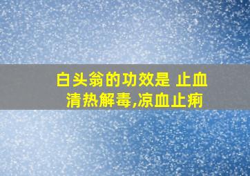 白头翁的功效是 止血 清热解毒,凉血止痢